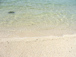 沖縄の砂浜アップ