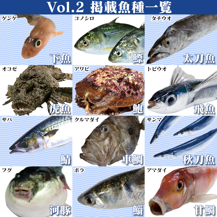 Fのさかなおもしろ図鑑Vol.2の魚種
