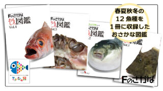 Fのさかなおもしろ図鑑の紹介／さかなの日 | Fのさかな web