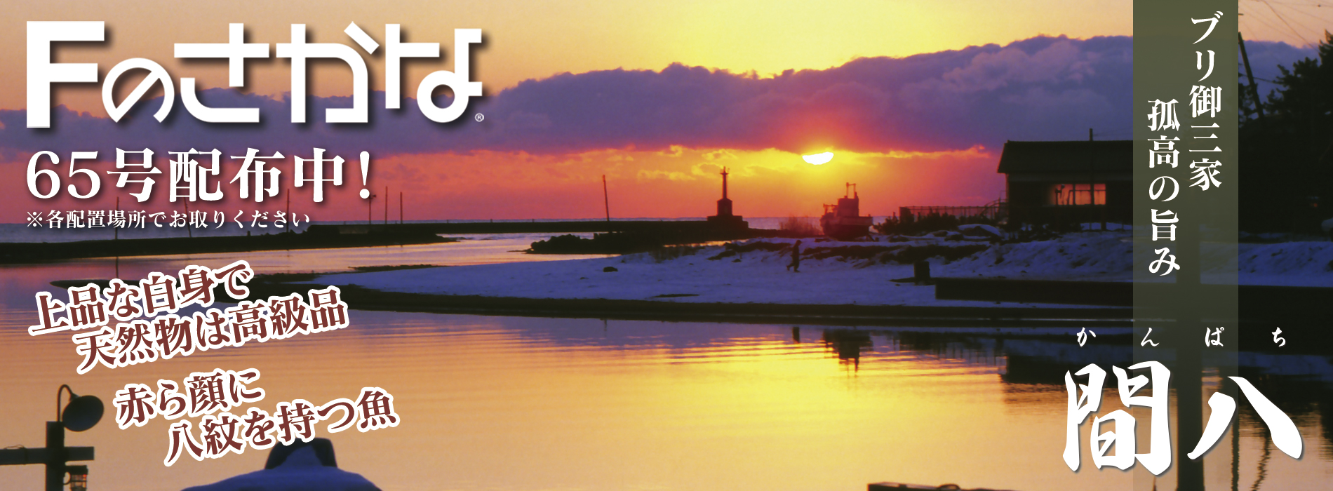 Fのさかな65号カンパチ配布中！