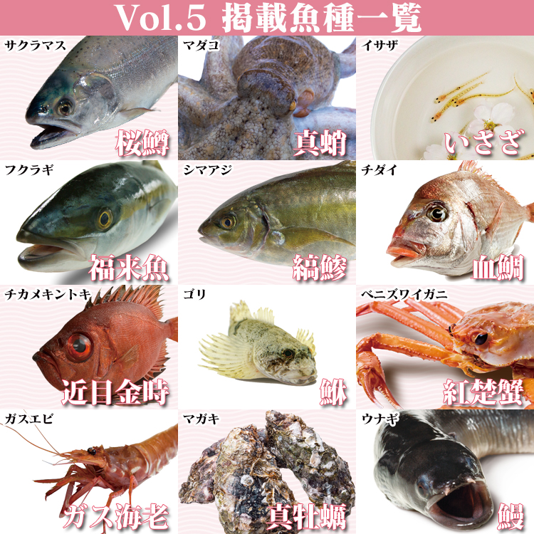 図鑑Vol.5 魚種一覧