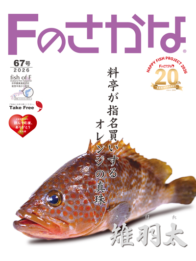 Fのさかな67号キジハタ