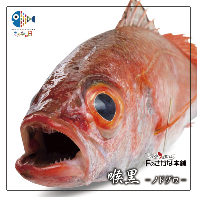 Fのさかなバックナンバー | Fのさかな web